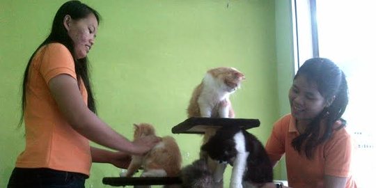 Tempat penitipan hewan raup untung besar saat Lebaran