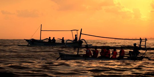 Berburu lompatan lumba-lumba di lepas Pantai Lovina