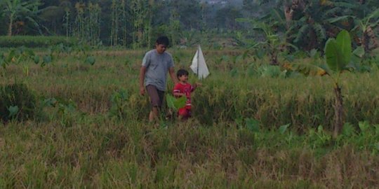 Sektor pertanian ditinggalkan para pemuda, ini solusi Menteri Amran