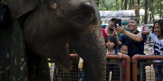 Curhat pengunjung Ragunan, kecewa hewan tidak aktif bergerak