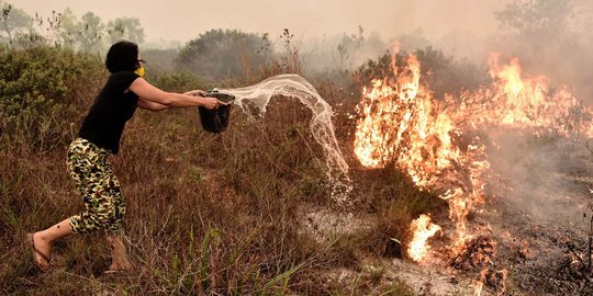 BPBD Jambi: 74 Hektare lahan terbakar, bersiap siaga karhutla