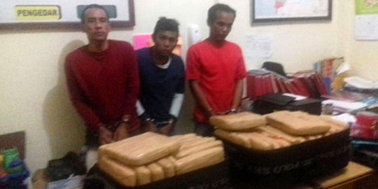 Bawa 35 kg ganja saat arus balik, 2 pria ditembak