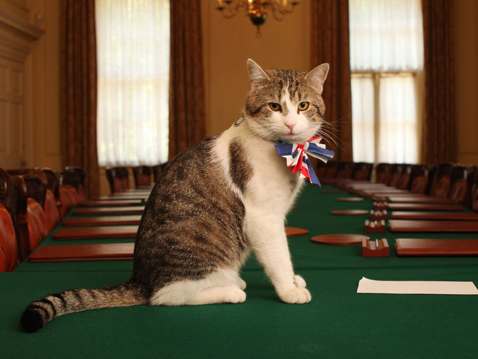 larry kucing kantor pm inggris
