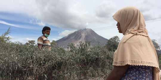Pemerintah siapkan hunian sementara buat 10 ribu pengungsi Sinabung