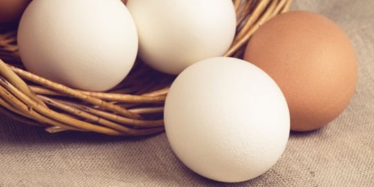 protein