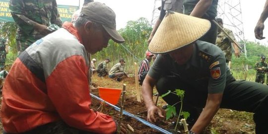 Warga Sukoharjo dan TNI tanam 5.000 pepaya Kalina