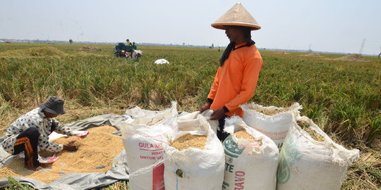 Penyediaan irigasi jadi ujung tombak produksi pangan