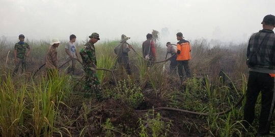 Kasus kebakaran hutan di-SP3, Kementerian LHK akan dipanggil DPR