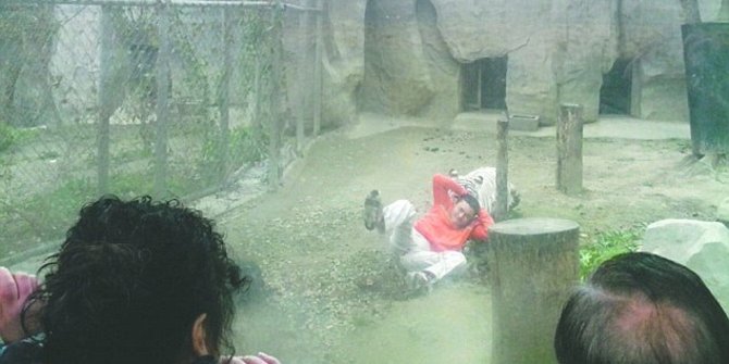 Lima Cerita Tragis Manusia Dimangsa Hewan Buas Di Kebun Binatang