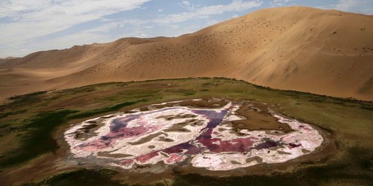 Fenomena oasis di Gurun Gobi yang mulai mengering