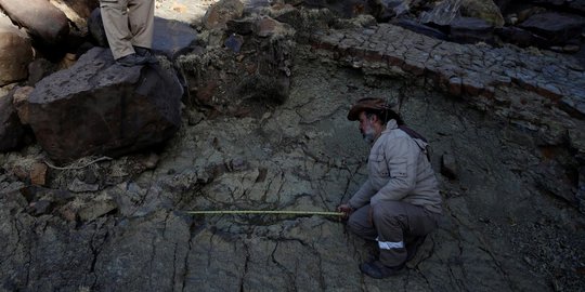 Penemuan jejak kaki dinosaurus di Bolivia