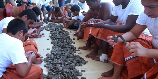 Para pemburu mutiara di laut Kuwait