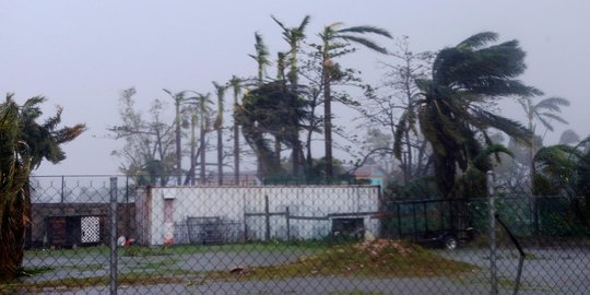 Dahsyatnya Badai Earl tumbangkan pohon-pohon di Belize