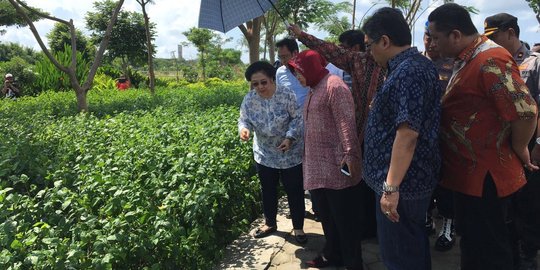 Risma beri sinyal bersedia maju Pilgub DKI