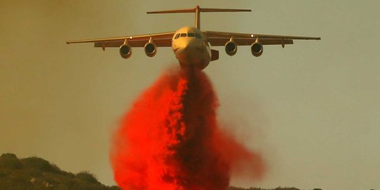 Ukraina tawarkan pesawat pemadam kebakaran hutan ke Jokowi