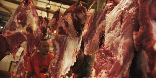 Mentan sebut rencana impor langsung satu tahun rugikan feedloter