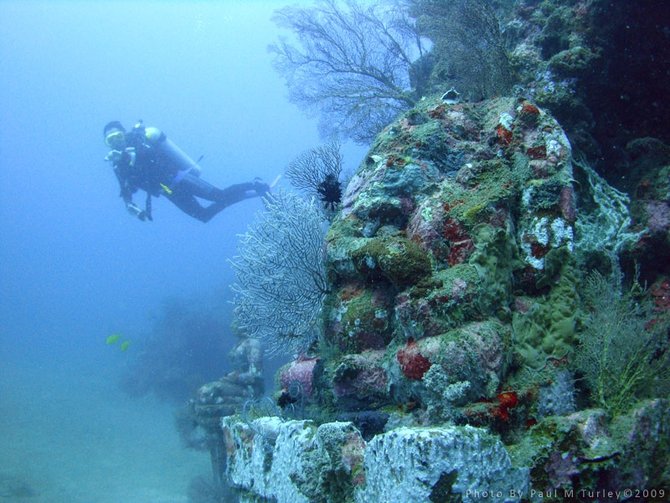 taman pura bawah laut pamuteran