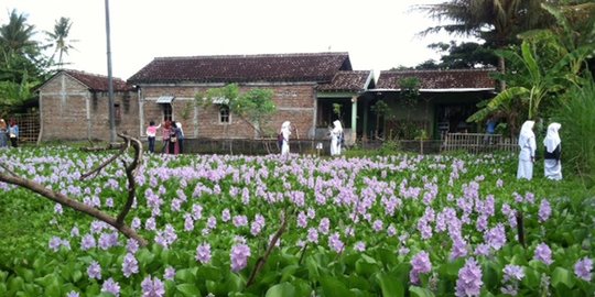 gondok yogyakarta