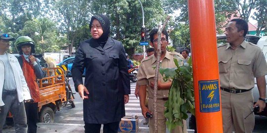 Djarot sebut Megawati tunjuk Risma jadi jurkamnas Pilkada 2017