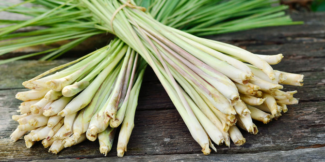 Selain melezatkan masakan ini khasiat daun serai  