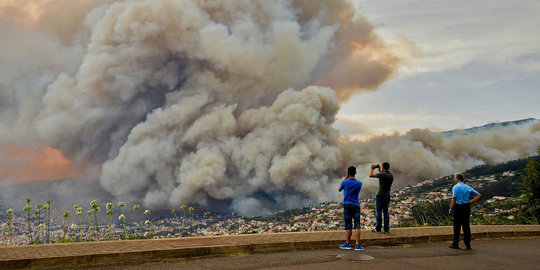 Ganasnya kebakaran hutan di Portugal sampai merembet ke kota