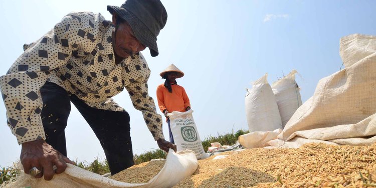 4 Pekerjaan Ini Dipandang Sebelah Mata Di Ri Dihargai Di Luar Negeri Merdeka Com