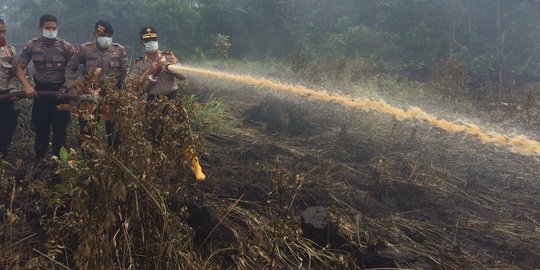 Kebakaran hutan di Pekanbaru diduga akibat ulah pemilik lahan