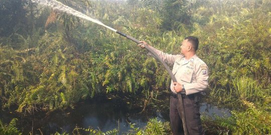 Kebun sawit 10 hektare terbakar, polisi belum tetapkan tersangka