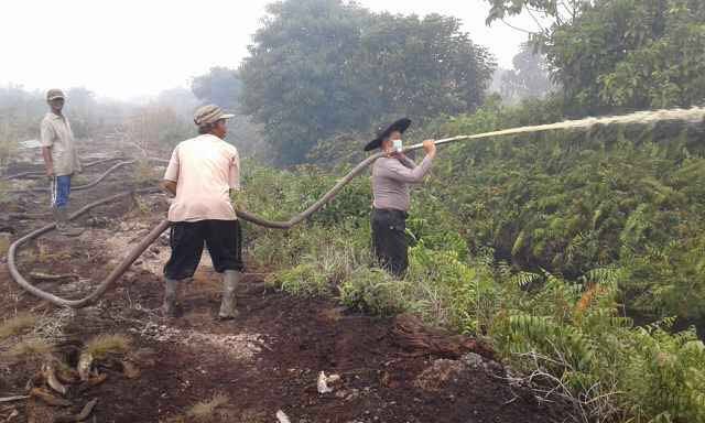 polisi padamkan kebakaran hutan di riau