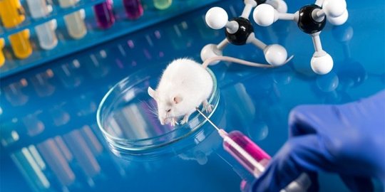dan dna manusia tidak bisa berubah rev1