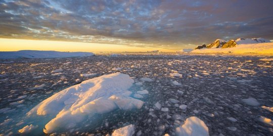 Berapa banyak es di benua Antartika?  merdeka.com