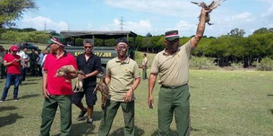 Peringati HUT RI, ratusan tentara rebutan tangkap bebek dan belut