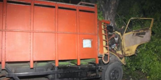 Terobos lampu merah, truk tabrak pohon hingga tewaskan dua orang