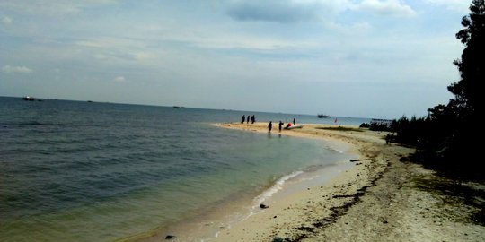 Menyusuri pasir putih di Pulau Panjang, Jepara