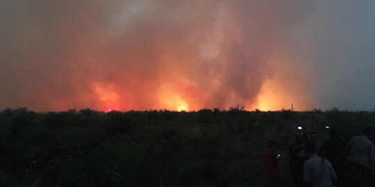 Angin kencang menyulitkan pemadaman kebakaran lahan di Bengkalis