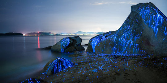 Keindahan batu-batu yang menangis di pantai Okayama, Jepang