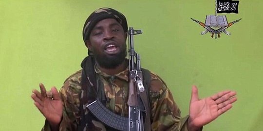 Pemimpin Boko Haram tewas dalam serangan udara