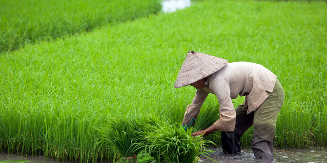 Kementan bakal perbaiki jaringan irigasi pertanian di 3 