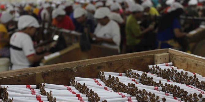 Soal rokok naik Rp 50.000, Ganjar minta petani tembakau tak khawatir