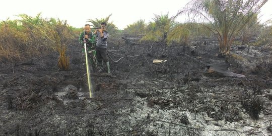 Bakar lahan di Dumai, kakek 60 tahun ditangkap polisi