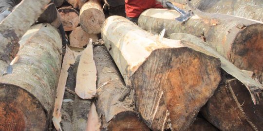 Indonesia negara pertama dunia raih lisensi ekspor kayu ke Eropa