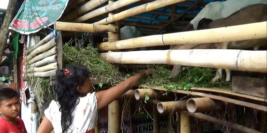 Jelang Idul Adha, Pasar Karangpucung banjir pasokan kambing