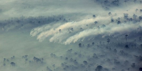 Polri, Kepala BMKG & sejumlah menteri audiensi atasi kebakaran hutan