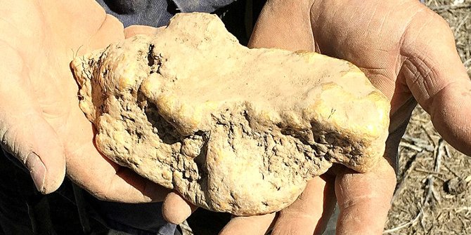 Bongkahan emas seberat 4,1 kilogram ditemukan di Victoria 