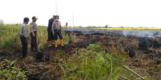 Polda Riau selidiki 2 perusahaan terkait kebakaran 220 hektare lahan