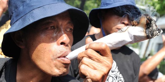 Keindahan manifesto perlawanan petani tembakau