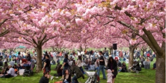 Jepang Tawarkan Pengalaman Wisata ke \'Dunia Lain\'