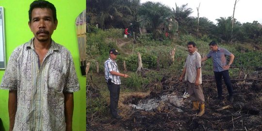 Diduga bakar lahan 1 hektare, warga Pelalawan ditangkap