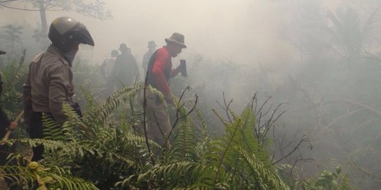 BNPB sentil petani yang kerap bakar hutan