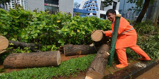 Hujan angin, pohon di Jalan Rasuna Said tumbang